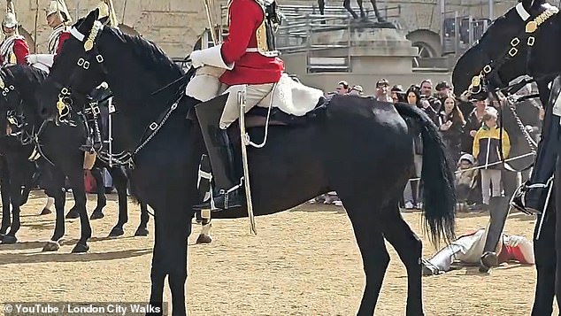 What WAS wrong with the Household Cavalry’s horses yesterday? New video shows animals spooked – with a rider thrown to the ground and injured – in SEPARATE incident to the one that saw runaway steeds careering through London