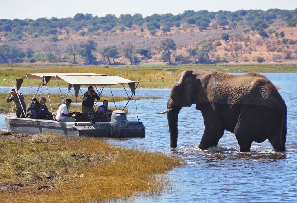 Chobe Safari Lodges – The Ultimate Guide