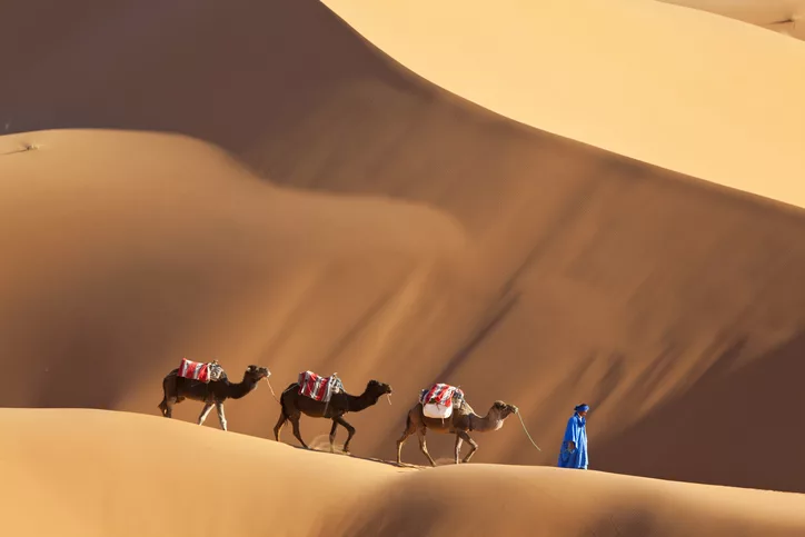 Exploring the Sahara Desert: Things to do