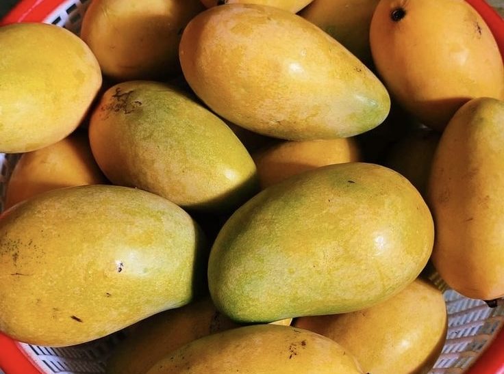 Mangoes: 5 Easy Ways To Identify Chemically Ripened Mangoes