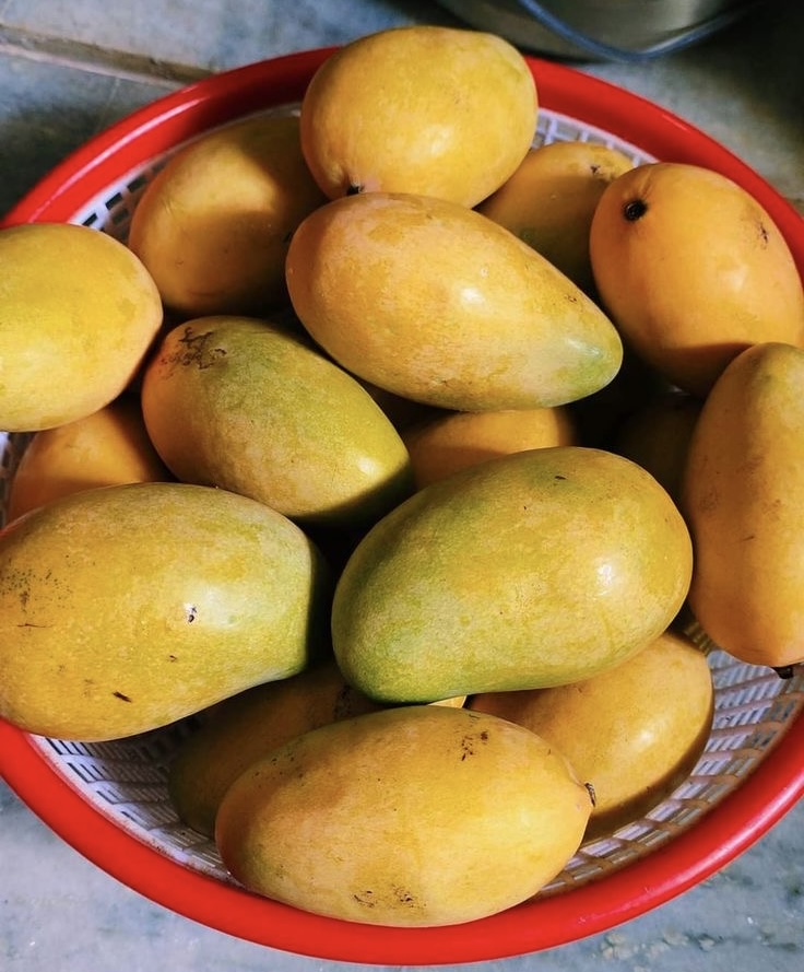5 Easy Ways To Identify Chemically Ripened Mangoes — Guardian Life — The Guardian Nigeria News – Nigeria and World News