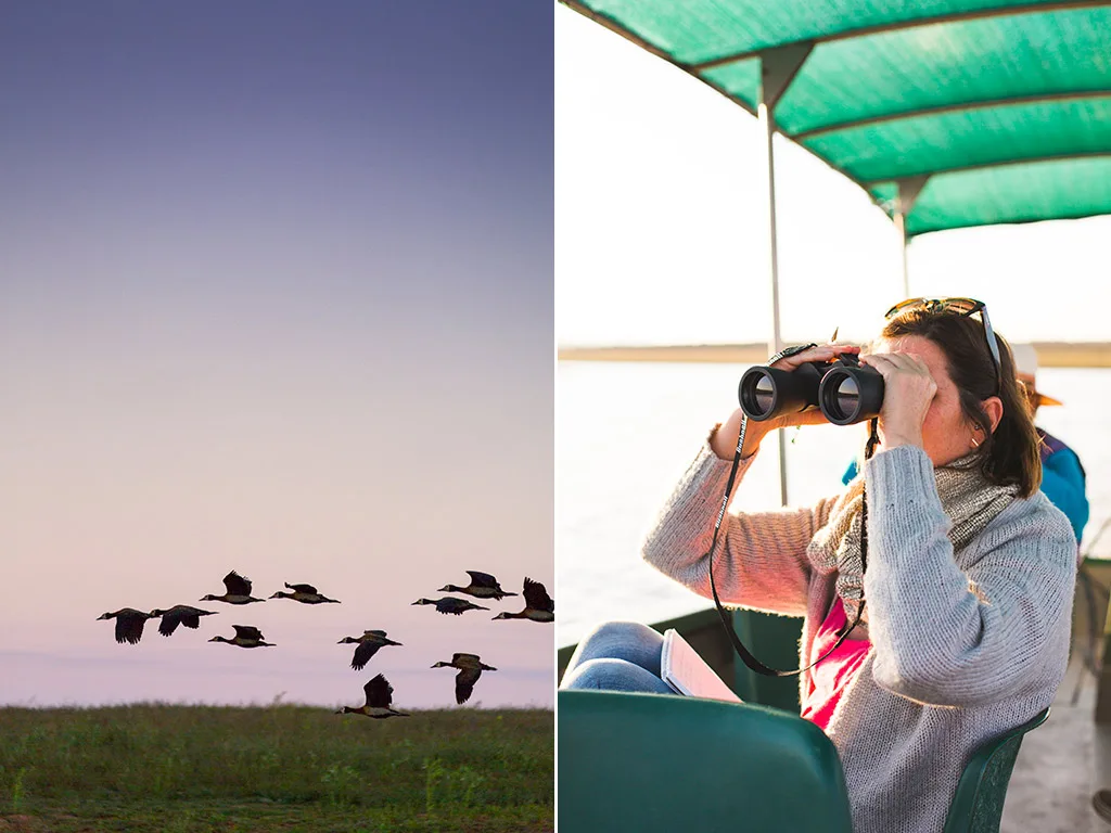 Want to start birding? Here are some tips