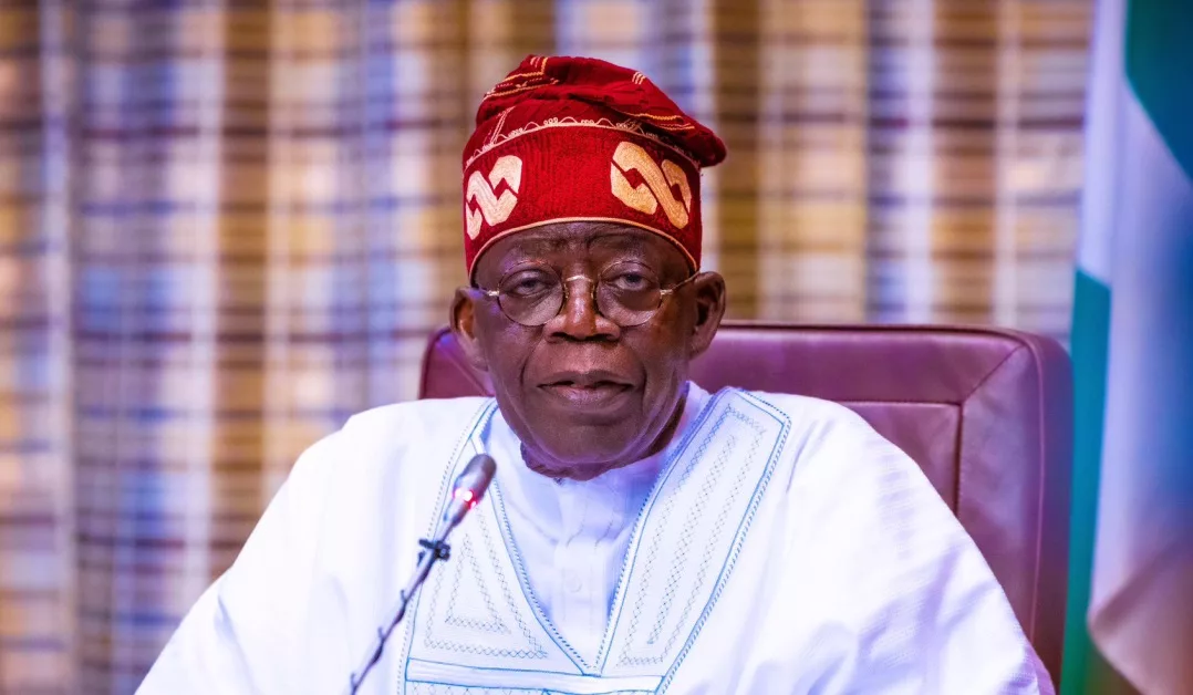 You Lack Moral Right To Advise Tinubu, Group Tells PDP
