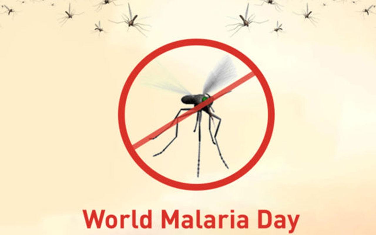 World Malaria Day: Rising cost of drugs threatens control | The Guardian Nigeria News