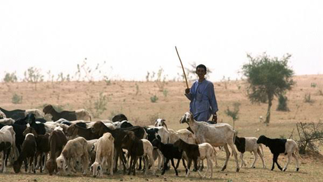 Farmers/herders conflict: EU COMITAS project seeks durable solutions | The Guardian Nigeria News